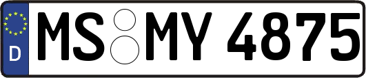MS-MY4875