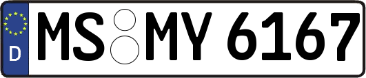 MS-MY6167