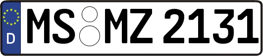 MS-MZ2131