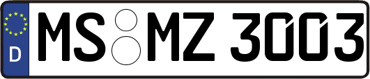 MS-MZ3003