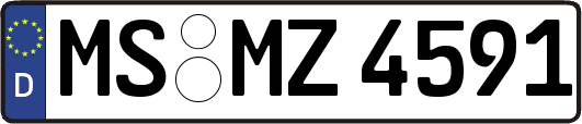 MS-MZ4591