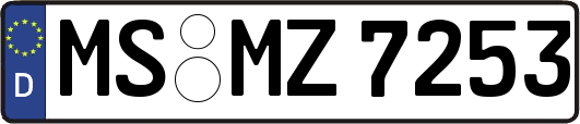 MS-MZ7253