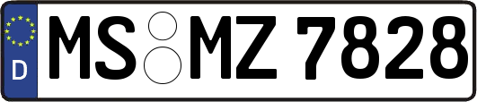 MS-MZ7828