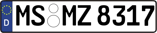 MS-MZ8317