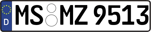 MS-MZ9513