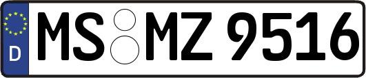 MS-MZ9516
