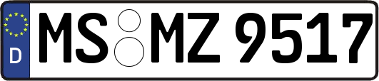 MS-MZ9517