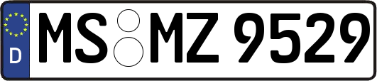 MS-MZ9529