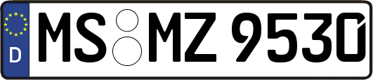 MS-MZ9530