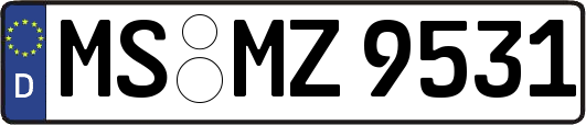 MS-MZ9531