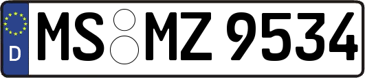 MS-MZ9534