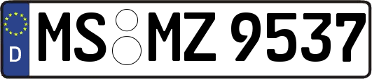 MS-MZ9537