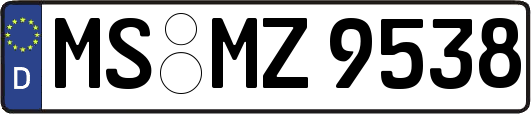 MS-MZ9538