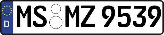 MS-MZ9539