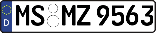 MS-MZ9563