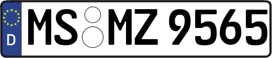 MS-MZ9565