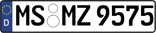 MS-MZ9575