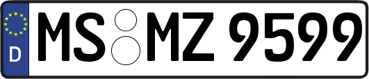 MS-MZ9599