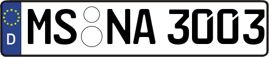 MS-NA3003