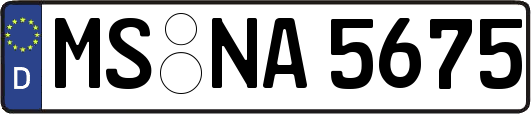 MS-NA5675
