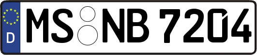 MS-NB7204