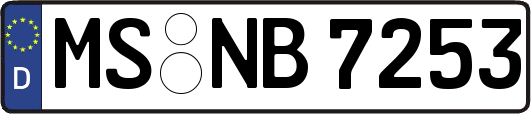 MS-NB7253
