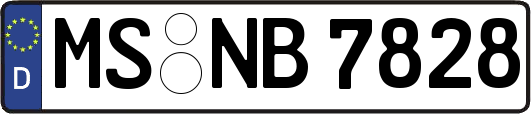 MS-NB7828