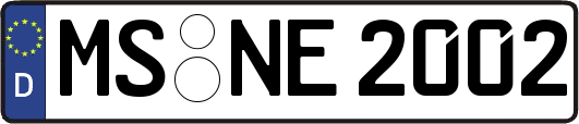 MS-NE2002
