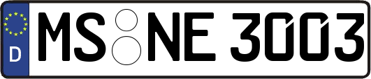 MS-NE3003