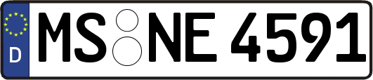 MS-NE4591