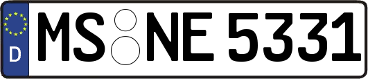 MS-NE5331