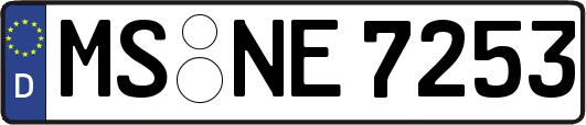 MS-NE7253