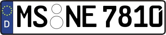 MS-NE7810