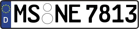 MS-NE7813