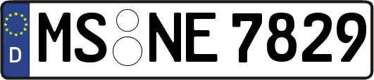 MS-NE7829