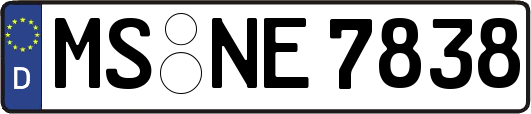 MS-NE7838