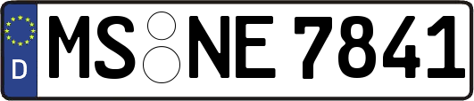MS-NE7841