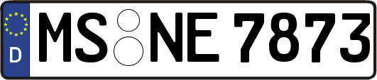 MS-NE7873
