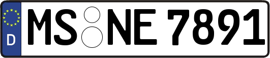 MS-NE7891