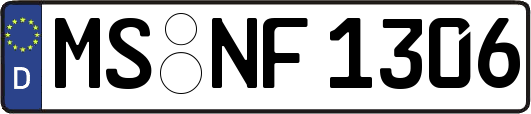 MS-NF1306