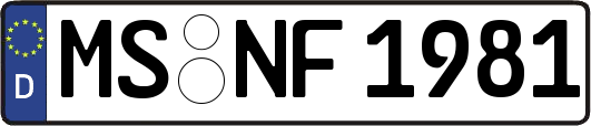 MS-NF1981