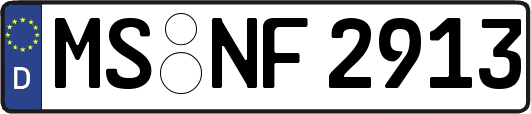 MS-NF2913
