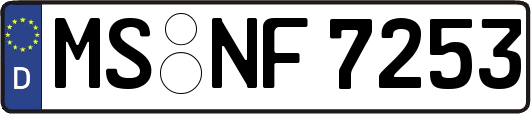 MS-NF7253