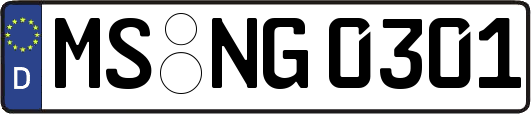 MS-NG0301