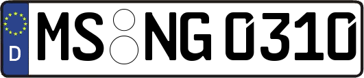 MS-NG0310