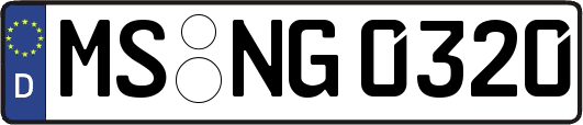 MS-NG0320