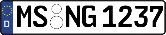 MS-NG1237