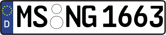 MS-NG1663