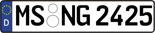 MS-NG2425