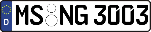MS-NG3003